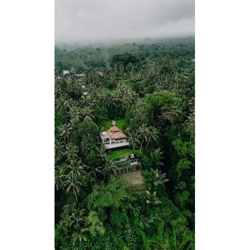 Luxury 2BR Ubud Villa with Infinity Pool and Jungle Views