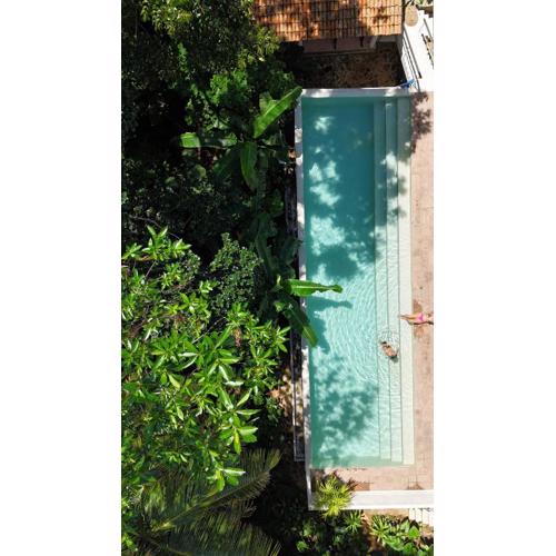 Luxury Jungle Villa with an Infinity Pool, Yoga Shala and Gym