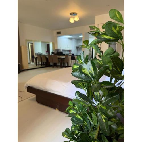 Luxury Studio in Murjan 2, JBR