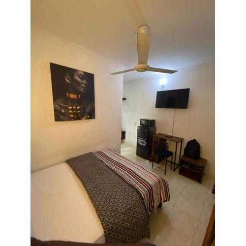 maasaifari cozy studio