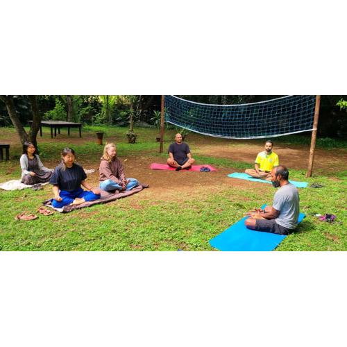 Mad Vervet Nairobi Backpackers Hostel