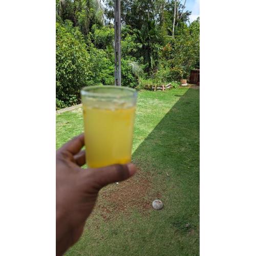 Madu's Mountain View Home