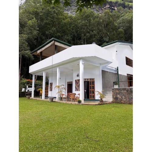 Magnolia by Bhathiya and Suzy - A Forest Sanctuary