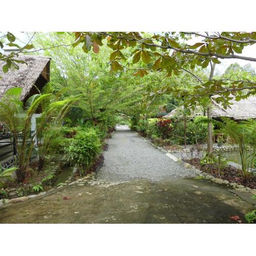 Magpie homestay & jungle trekking especially for guest trekking with us