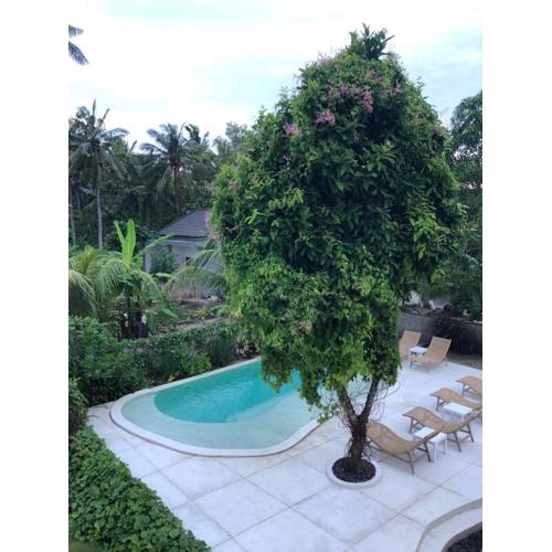 Maha di Nusa Lembongan