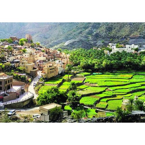 Mahalli Balad Sayt Heritage Inn