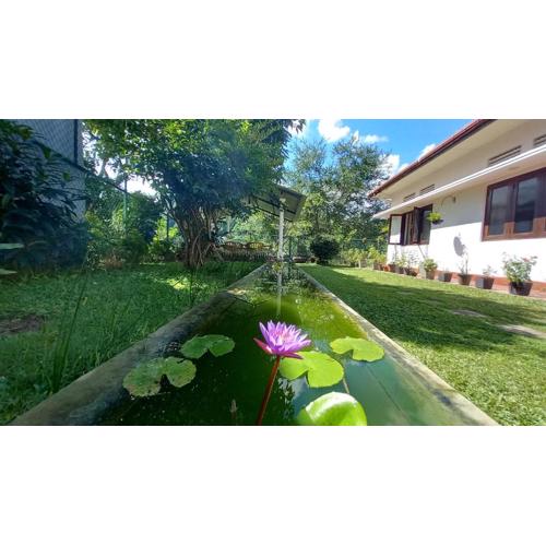 Mahaweli Shades