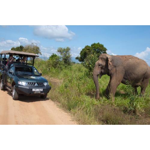 Mahoora Udawalawe - by Eco Team