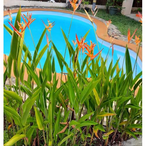 Maison spacieuse meublée, logement entier,piscine privee