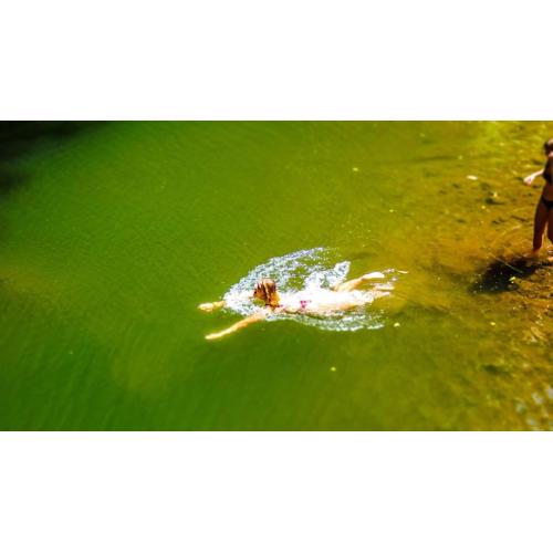 Makini Swing Adventure