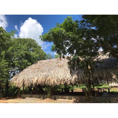 Mallara RestSafari (Cabana & Family Restaurant)