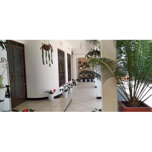 mamacollins homestay