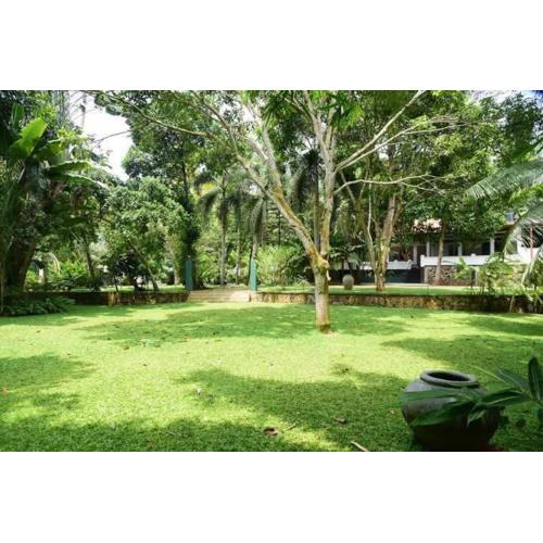 Mango Breeze Hikkaduwa