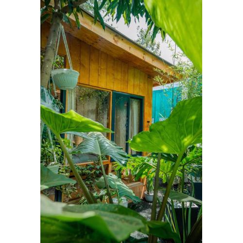 Mango Eco Cabin by Banana Farm