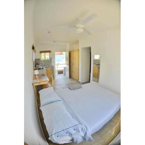 Mango House Leon studio