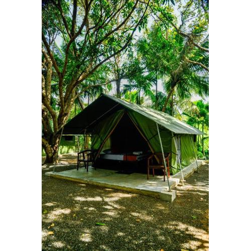 Mango Safari Camping Udawalawe