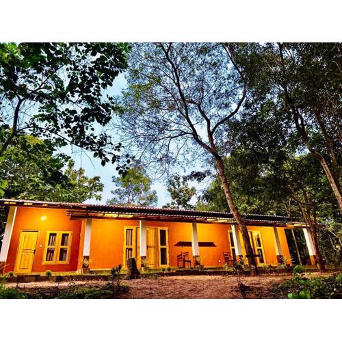 Mango Tree Homestay and Hostel