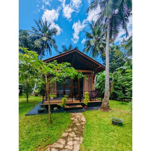 Mango Tree House