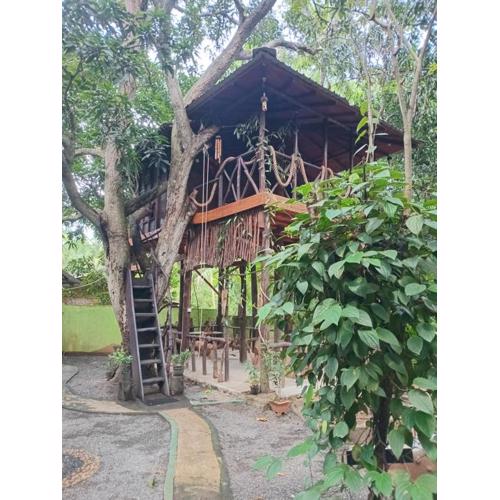 Mango Tree Hut udawalawe