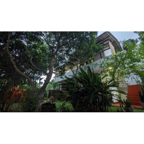 Mango tree view holiday house