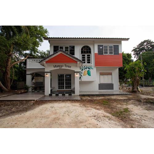 Mango tree อ่าวมะขามป้อม