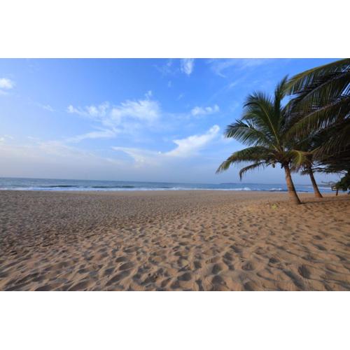 Mangrove Beach Cabana