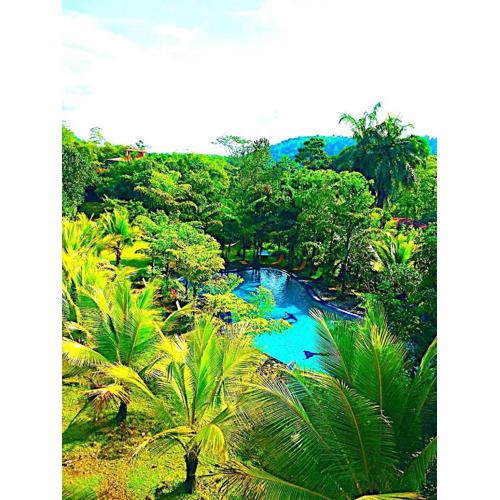 Manikgoda Tea Paradise New