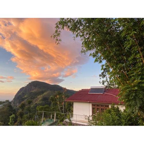 Maple home stay and cottage