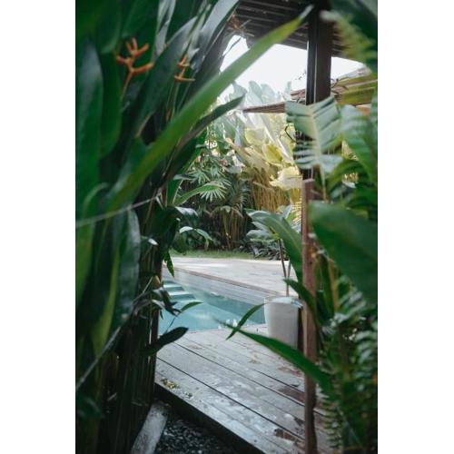 Marevka - Pool Villa with garden