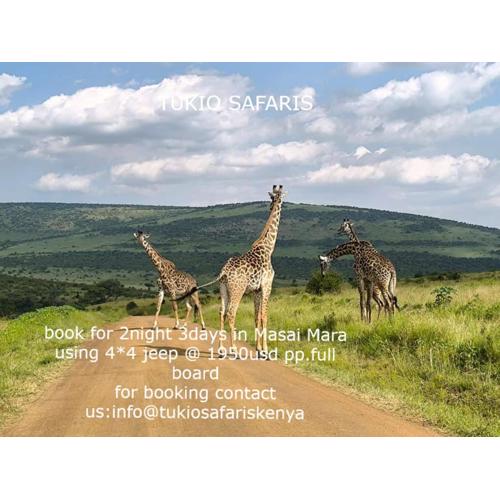 masai mara game park, amboseli national park,samburu national park