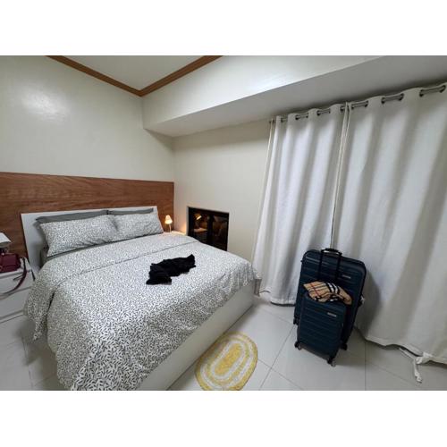 Matityahu Suite-Brenthill