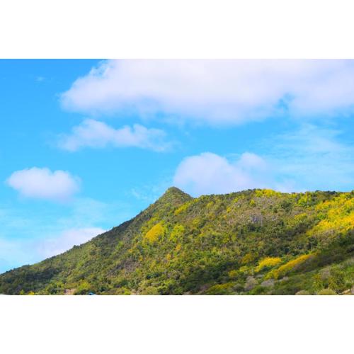 Mauri holidays 'Budgeted Apartment'