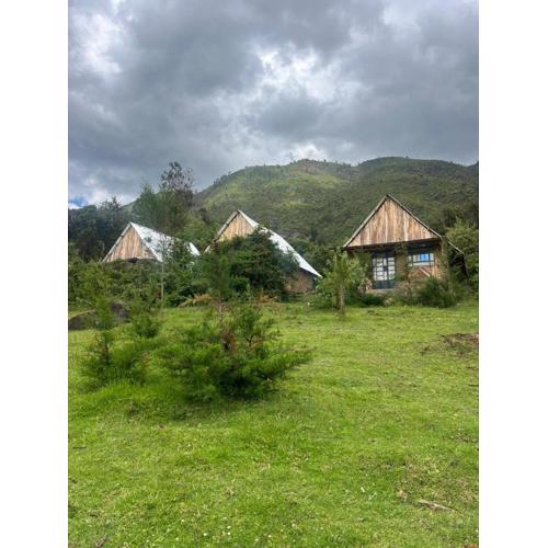 Maverick Camp, Rondavels and Homestay