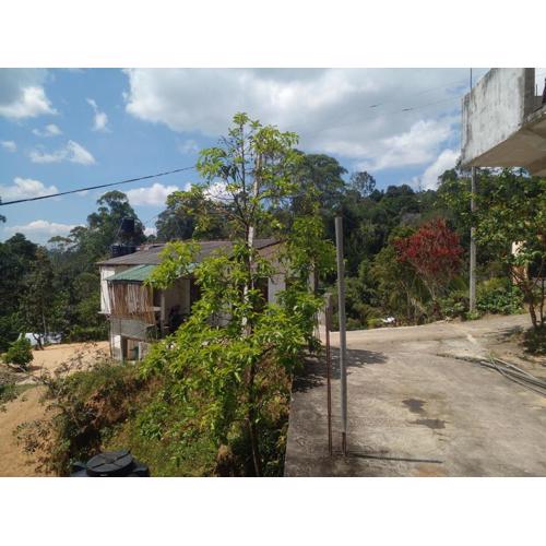 Mayura Villa