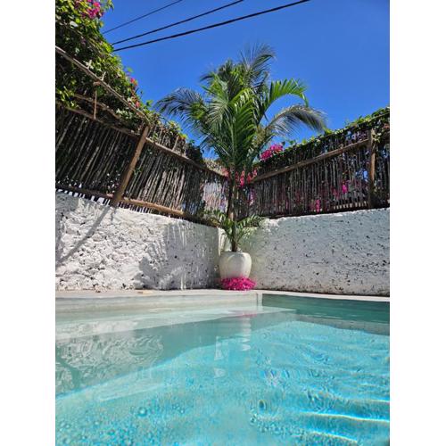 Mbaliparadise Guest Lodge PEMBA