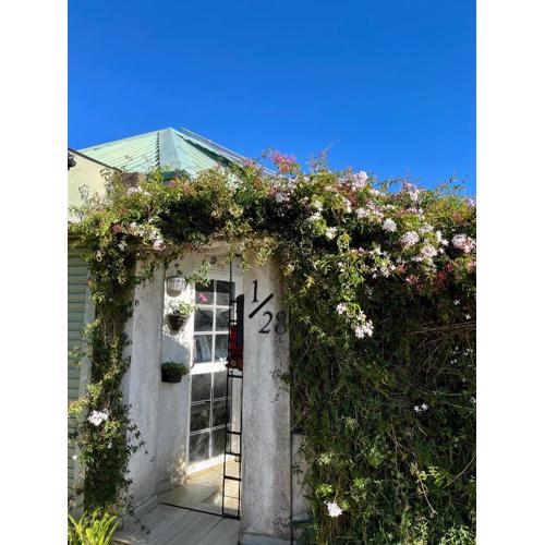 Medalin Harmony Nest