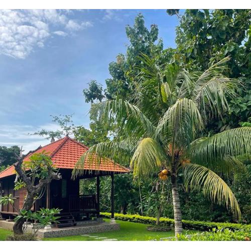 Medori Putih Homestay