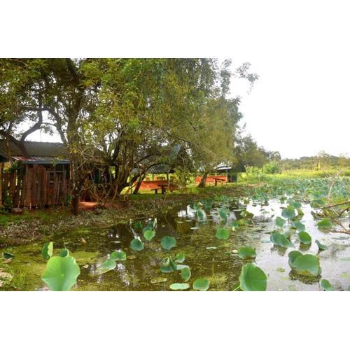 Meegahapokuna Resort