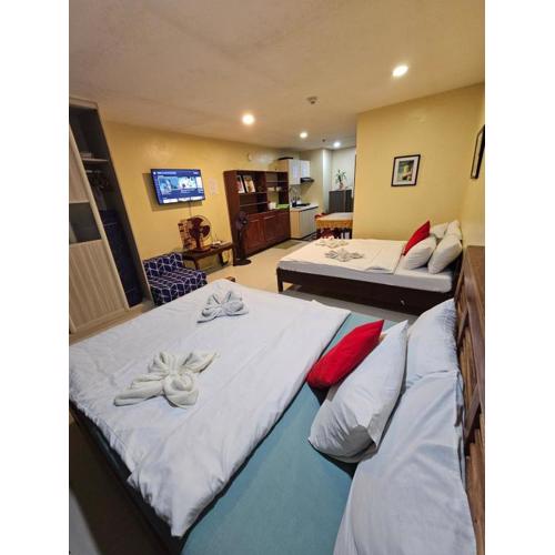 Mega transient baguio