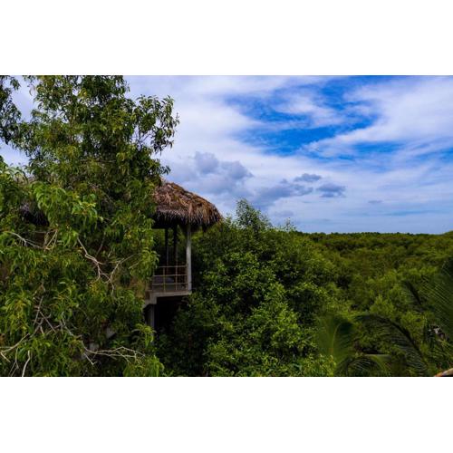Mermaid Cabana and Tree Houses