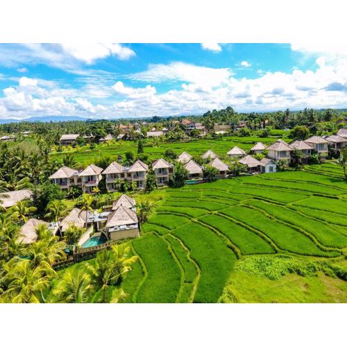 Mesari Hotel Ubud
