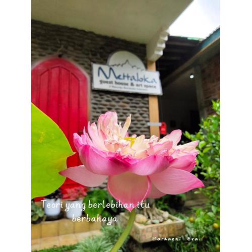 Mettaloka Guesthouse