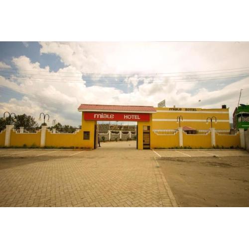 Miale The Hotel