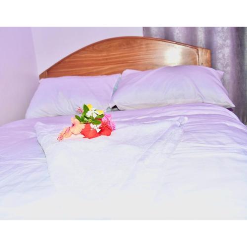 Michamvi Holiday Homes- 102