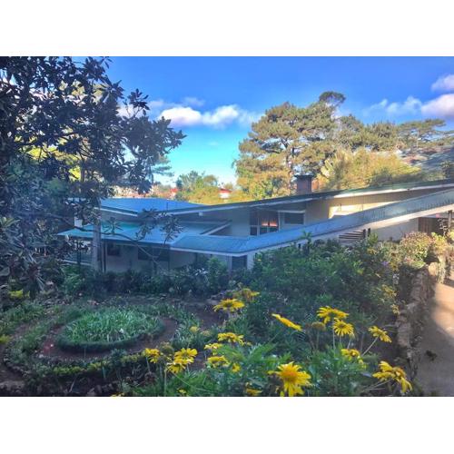 Mid-Century Modern Centrally Located Garden Oasis