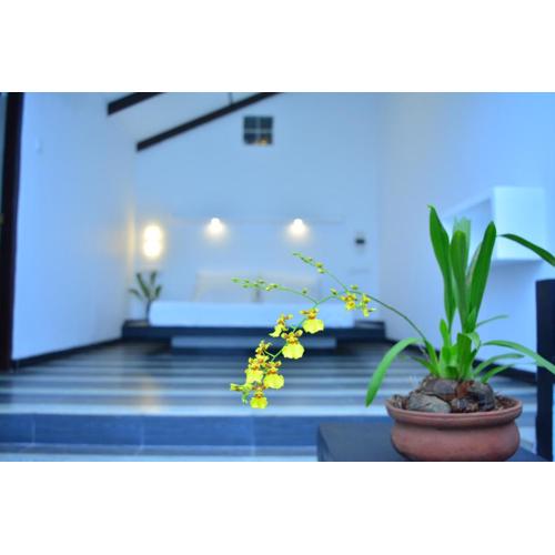 Midigama Holiday Inn