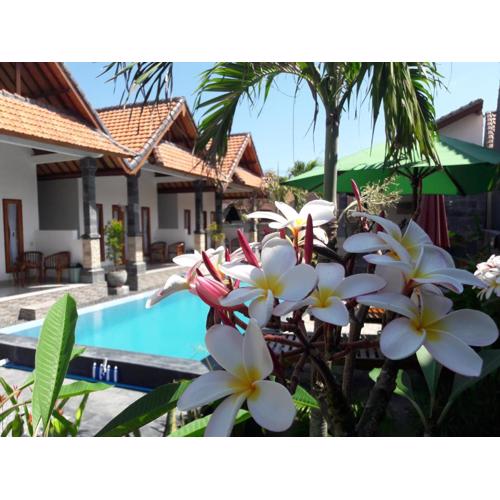 Miko Bungalow Nusa Penida