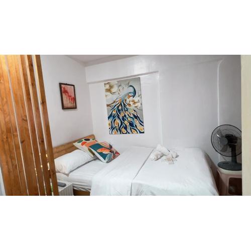 Min Hao&Xin Transient