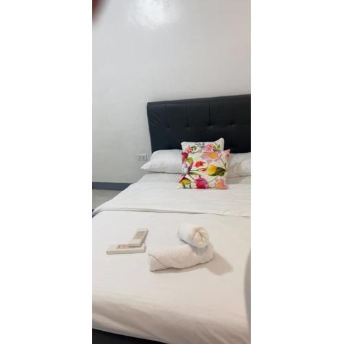 Min Hao&Xin Transient