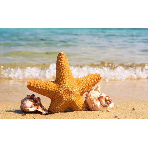 Mina Al Arab Apartment with pool and beach